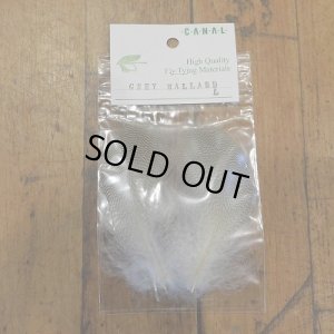 画像1: 【CANAL】 Grey Mallard Lサイズ