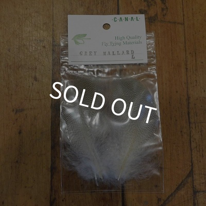 画像1: 【CANAL】 Grey Mallard Lサイズ (1)