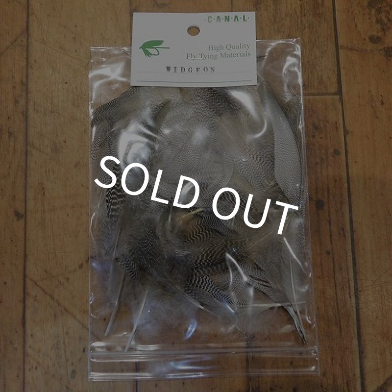 画像1: 【CANAL】 Widgeon (1)