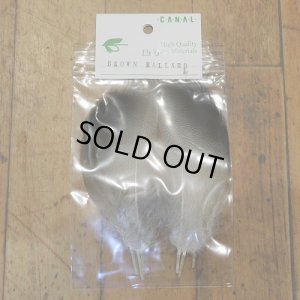 画像1: 【CANAL】 Brown Mallard  Lサイズ