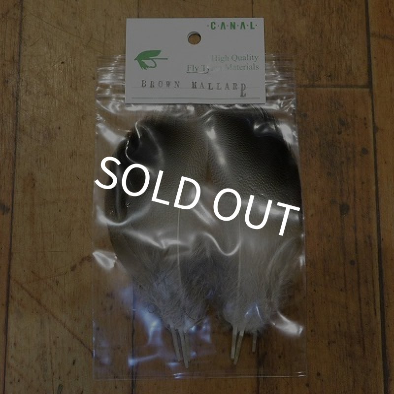 画像1: 【CANAL】 Brown Mallard  Lサイズ (1)