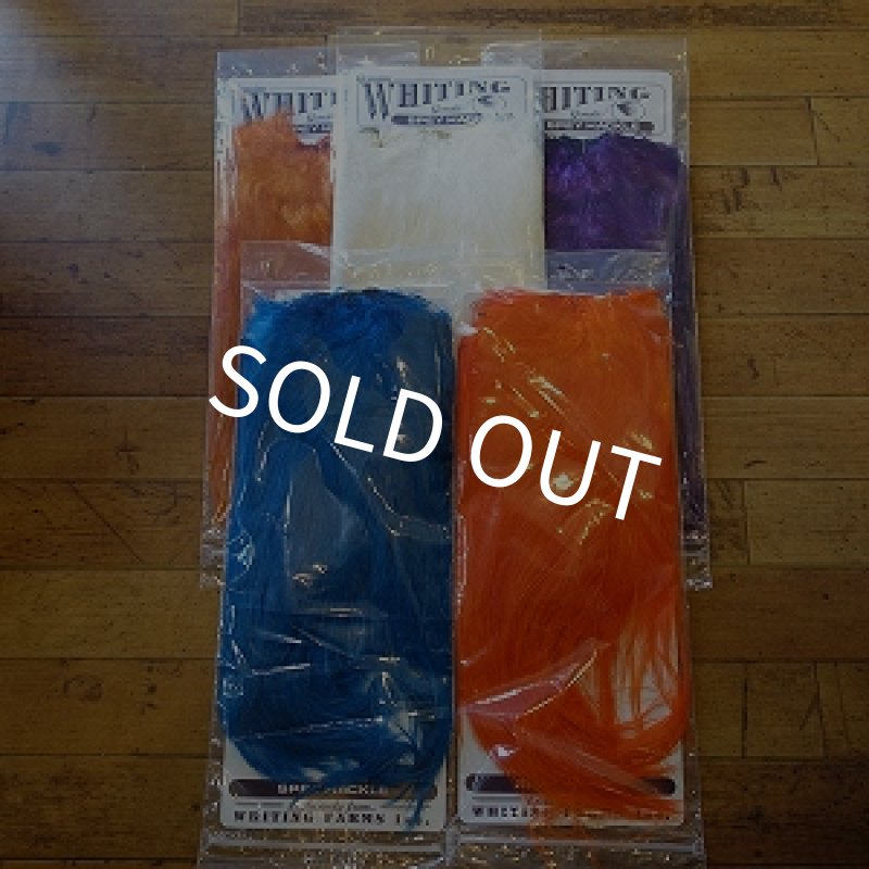 画像1: 【WHITING】 Spey Hackle Saddle SILVER GRADE (1)