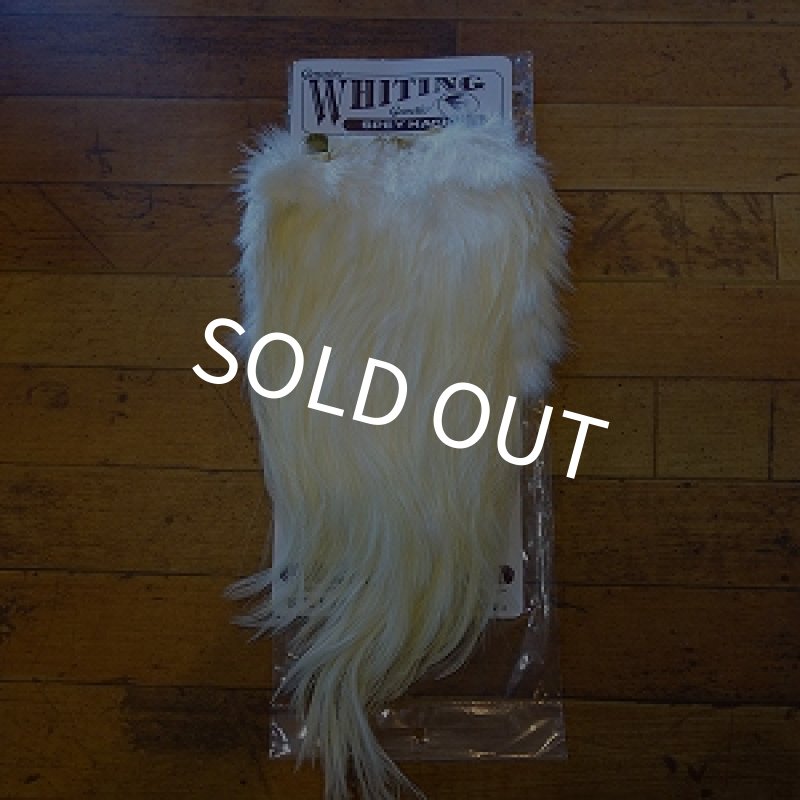 画像4: 【WHITING】 Spey Hackle Saddle SILVER GRADE (4)