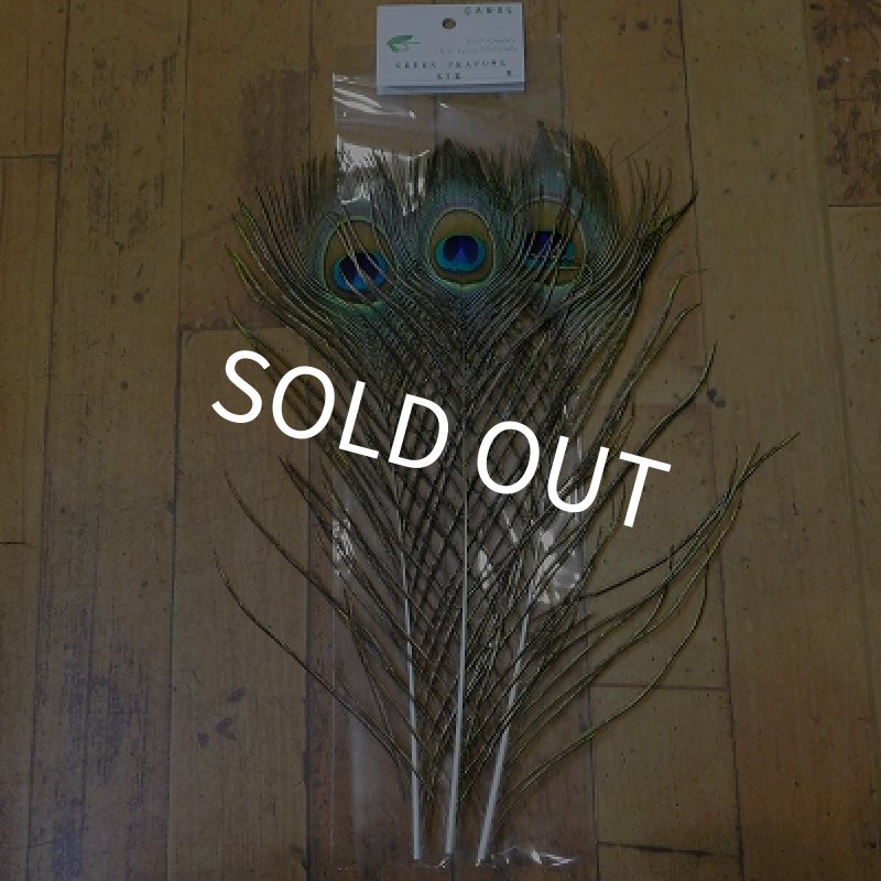 画像1: 【CANAL】 Green Peafowl Eye Mサイズ   (1)