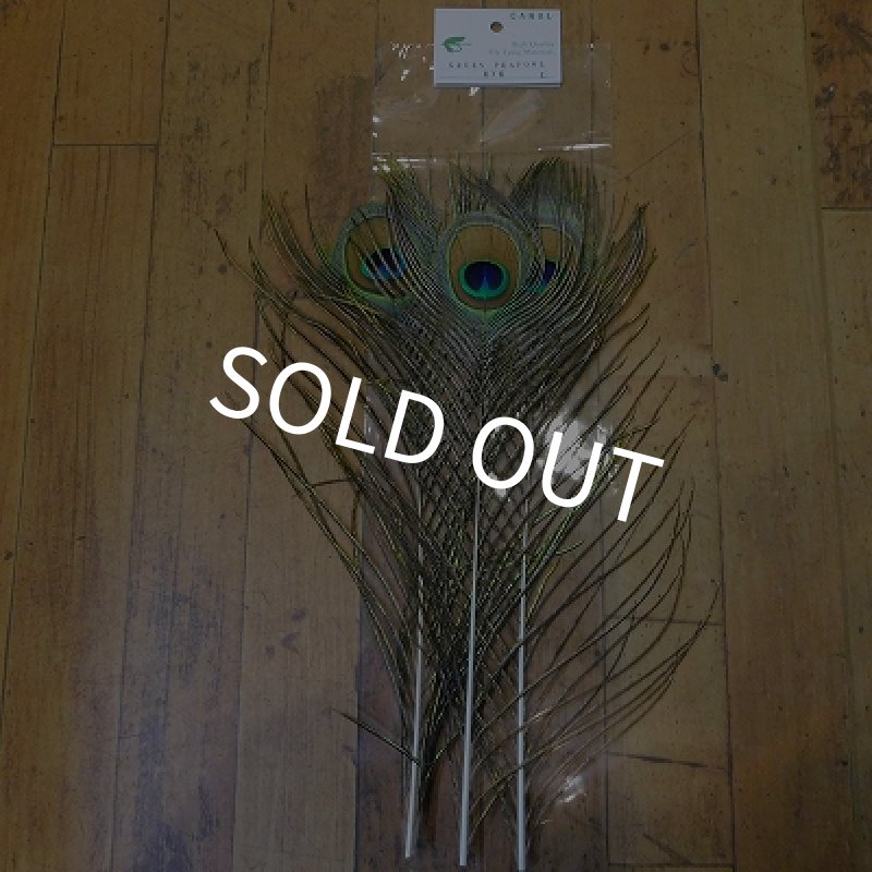 画像1: 【CANAL】 Green Peafowl Eye Lサイズ   (1)