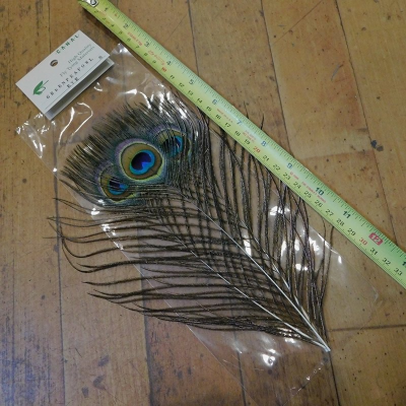 画像3: 【CANAL】 Green Peafowl Eye Sサイズ