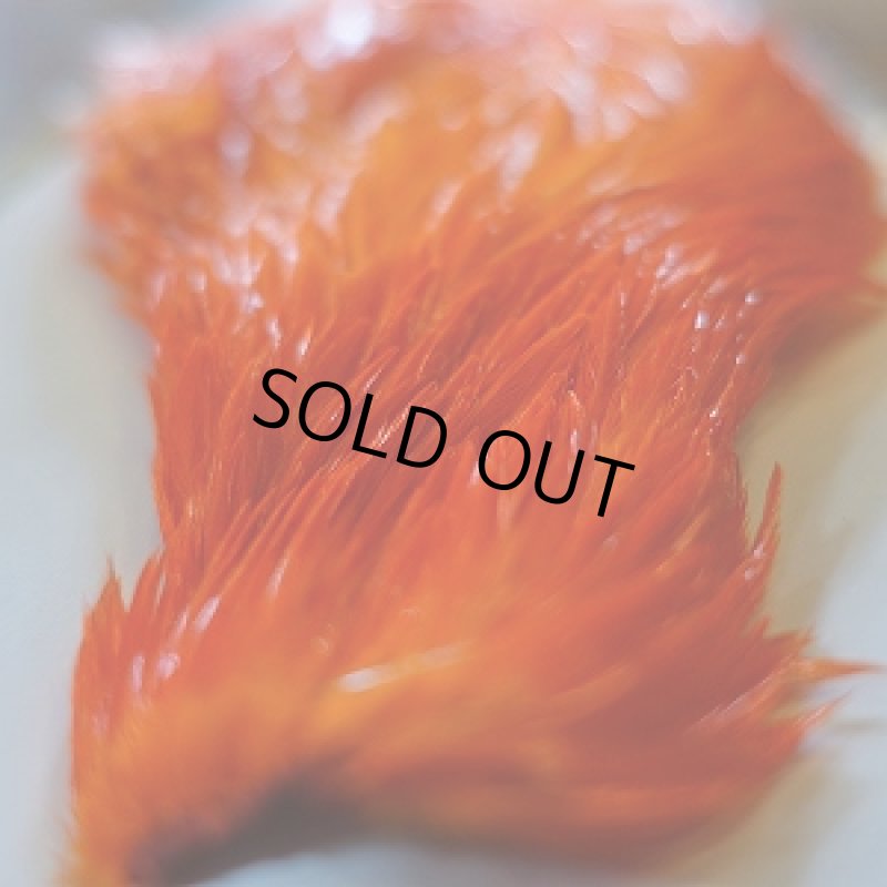 画像3: 【SWEETFISH】 Chinese Cock Hackle (3)