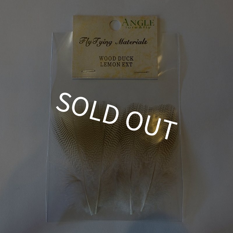 画像1: 【ANGLE】 WOOD DUCK LEMON EXT (1)