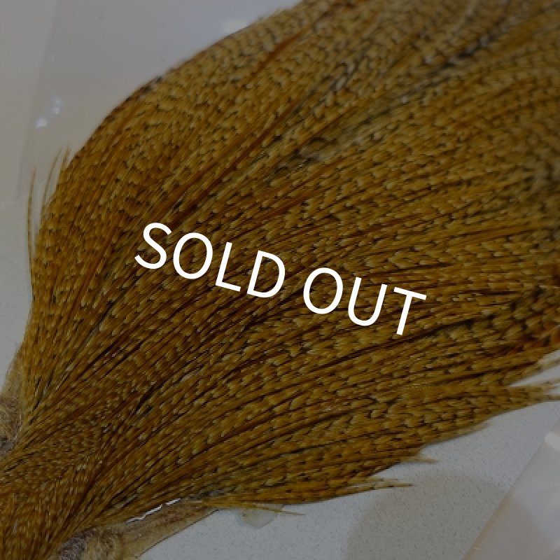 画像4: 【KEOUGH】 クリー ハックル #2 (4)