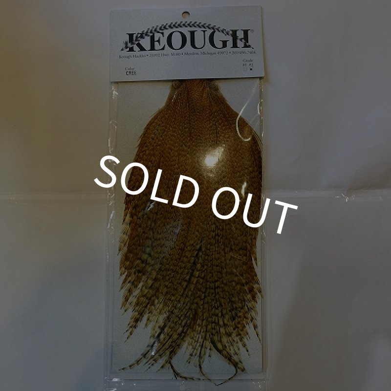 画像1: 【KEOUGH】 クリー ハックル #2 (1)