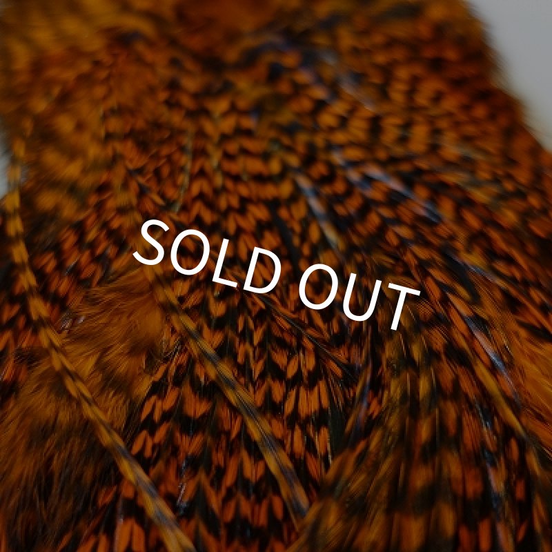 画像6: 【KEOUGH】 ダイド グリズリー コックサドル #2 (2) (6)