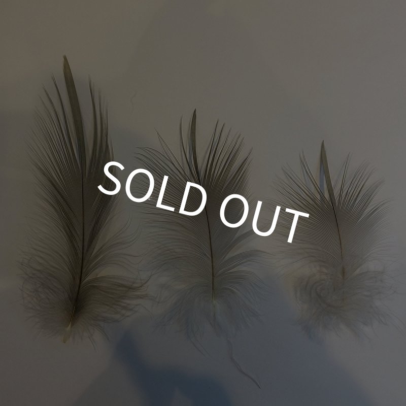 画像1: 【CANAL】 Grey Heron S SIZE (1)