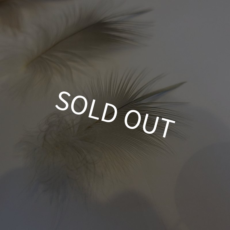 画像2: 【CANAL】 Grey Heron S SIZE (2)