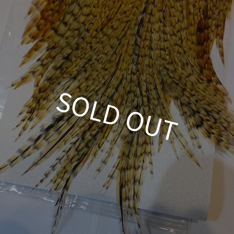 画像3: 【KEOUGH】 クリー ハックル #2 (3)