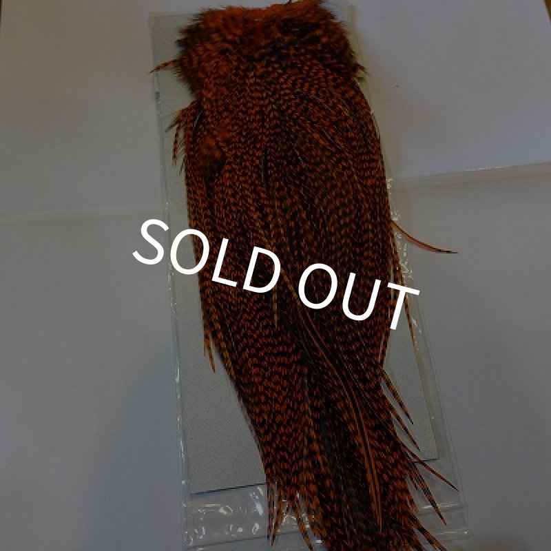 画像4: 【KEOUGH】 ダイド グリズリー コックサドル #2 (2) (4)