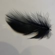 画像2: 【CANAL】 Grey heron Dyed Black XS (2)