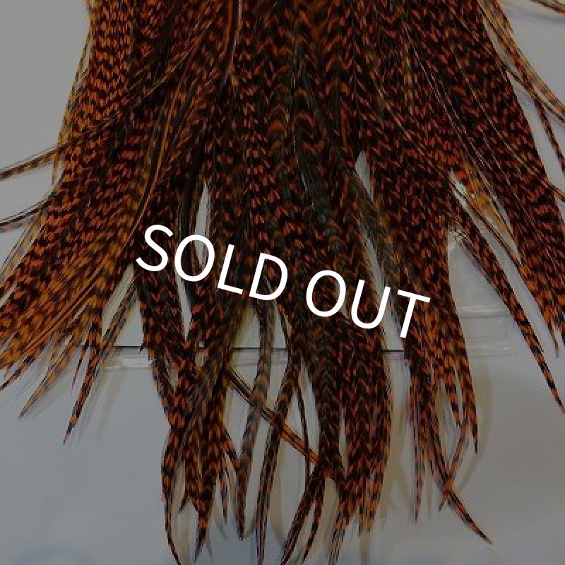 画像5: 【KEOUGH】 ダイド グリズリー コックサドル #2 (2) (5)