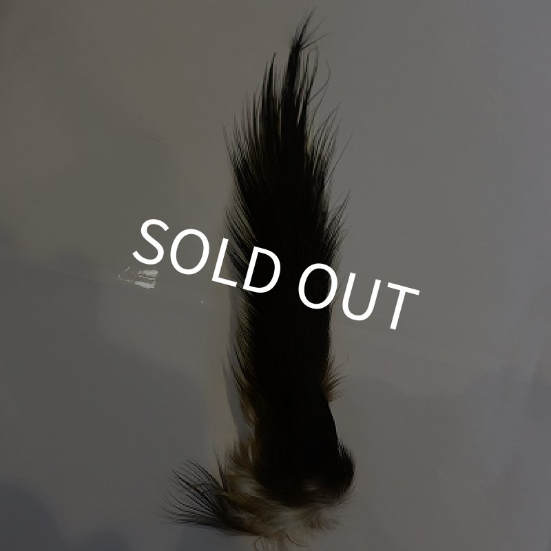 画像1: 【CANAL】 Black Heron half cut (1)