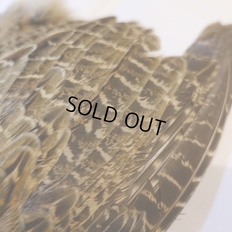 画像2: 【CANAL】HEN PHEASANT(ウィング付) (2)