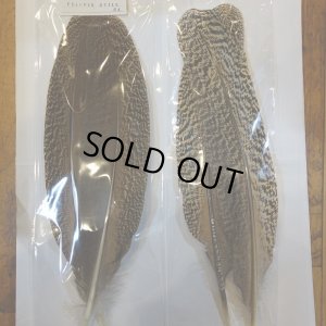 画像5: 【CANAL】 PEACOCK QUILL SA