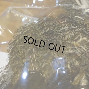 画像4: 【CANAL】 PEAHEN コンプリート 