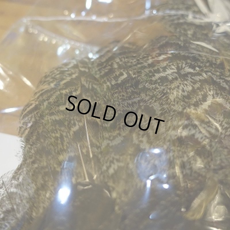 画像4: 【CANAL】 PEAHEN コンプリート  (4)