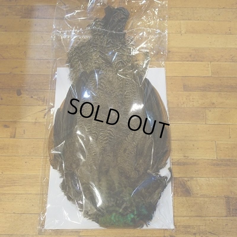 画像1: 【CANAL】 PEAHEN コンプリート  (1)