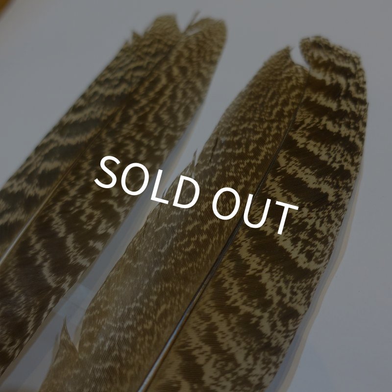 画像2: 【CANAL】 PEACOCK QUILL S (2)