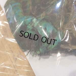 画像6: 【CANAL】 PEAHEN コンプリート 