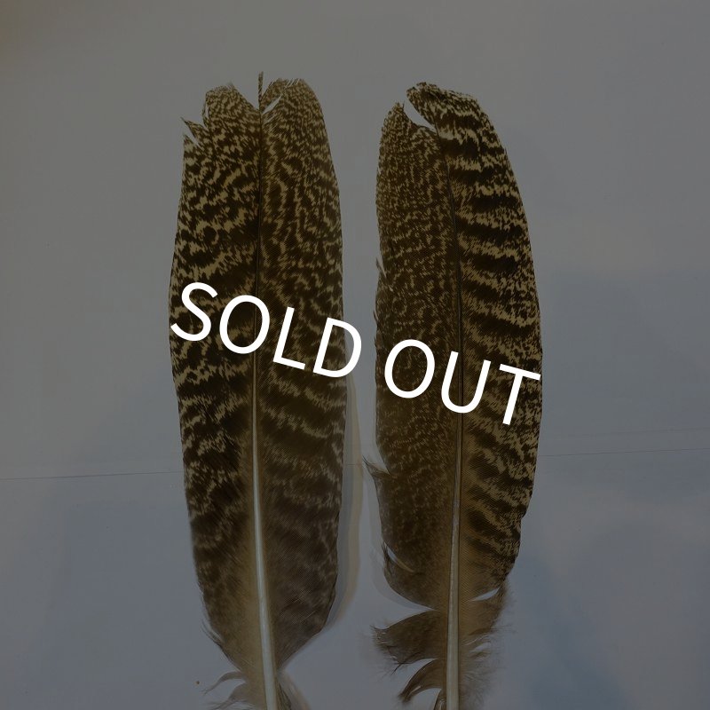 画像1: 【CANAL】 PEACOCK QUILL S (1)