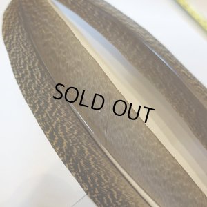 画像2: 【CANAL】 PEACOCK QUILL SA