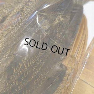 画像2: 【CANAL】 PEAHEN コンプリート 