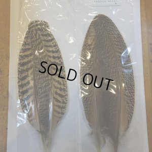 画像6: 【CANAL】 PEACOCK QUILL L