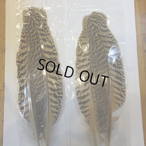 画像8: 【CANAL】 PEACOCK QUILL L