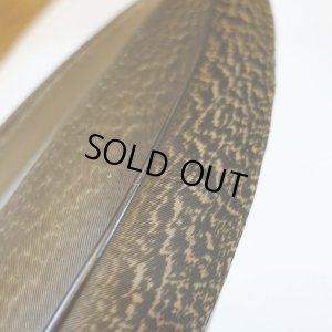 画像3: 【CANAL】 PEACOCK QUILL SA