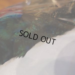 画像5: 【CANAL】 PEAHEN コンプリート 