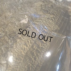 画像7: 【CANAL】 PEAHEN コンプリート 