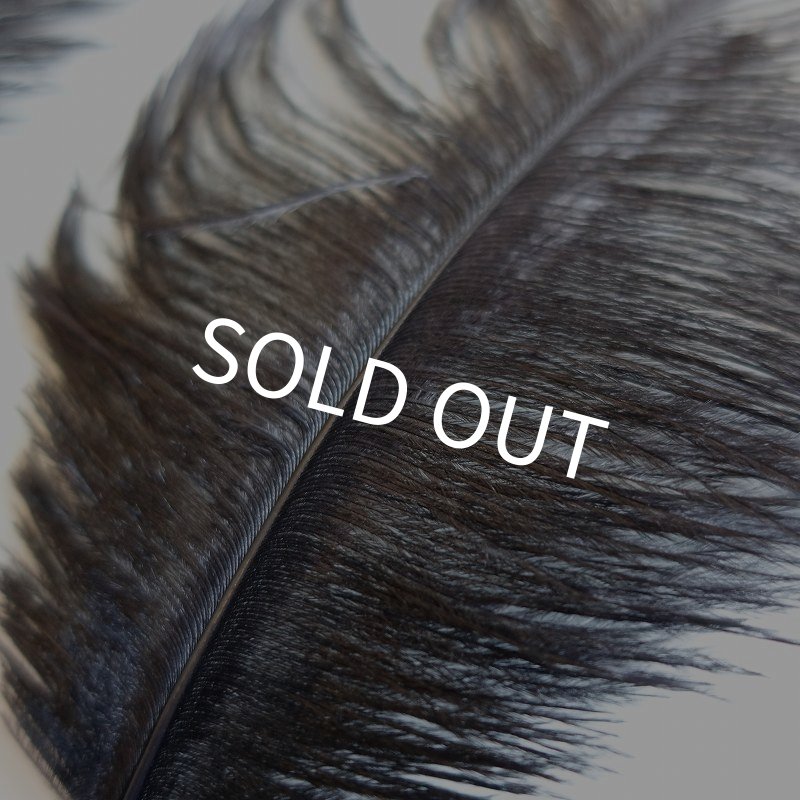 画像2: 【OPST】 Ostrich SOLID BLACK (2)