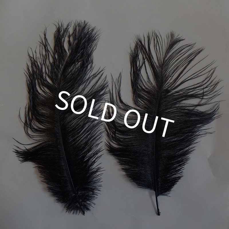 画像1: 【OPST】 Ostrich SOLID BLACK (1)