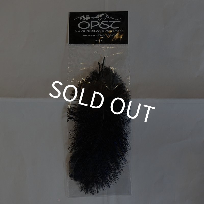 画像4: 【OPST】 Ostrich SOLID BLACK (4)