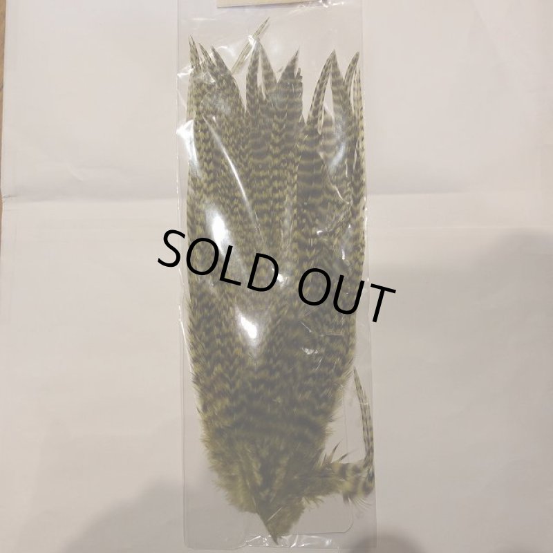 画像2: 【Ewing】 Grizzly Wooly Bugger Packet (2)