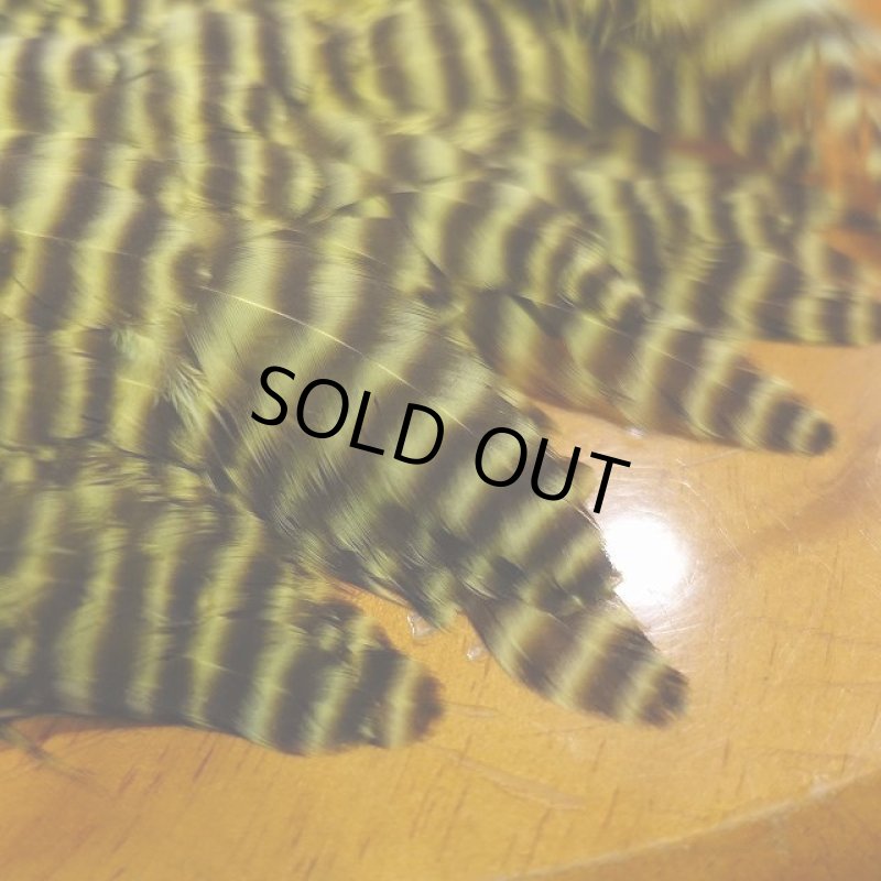 画像2: 【Ewing】 grizzly hen saddle patch (2)