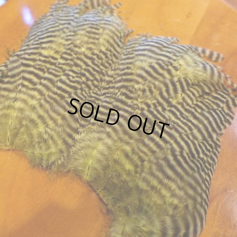 画像1: 【Ewing】 grizzly hen saddle patch (1)