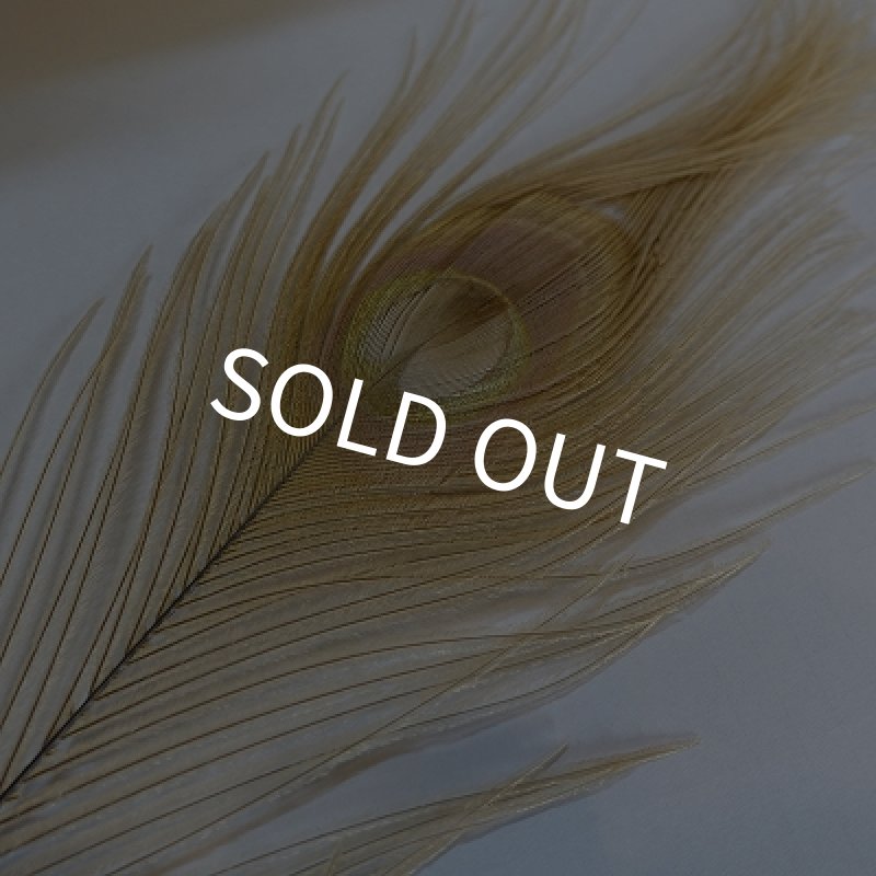 画像2: 【NatureSpirit】 Bleached and Dyed Peacock Sticks (2)