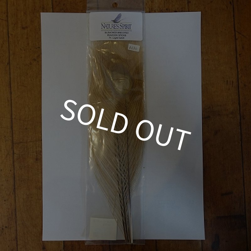 画像1: 【NatureSpirit】 Bleached and Dyed Peacock Sticks (1)