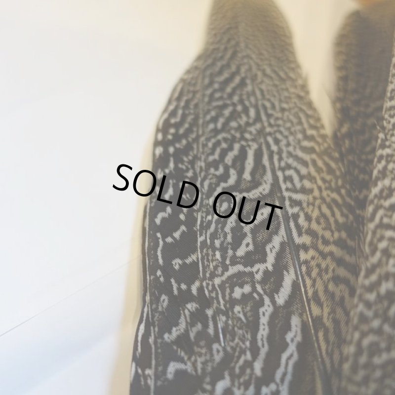 画像4: 【CANAL】 Speckled Pheasant コンプリートテール L (No.2) (4)