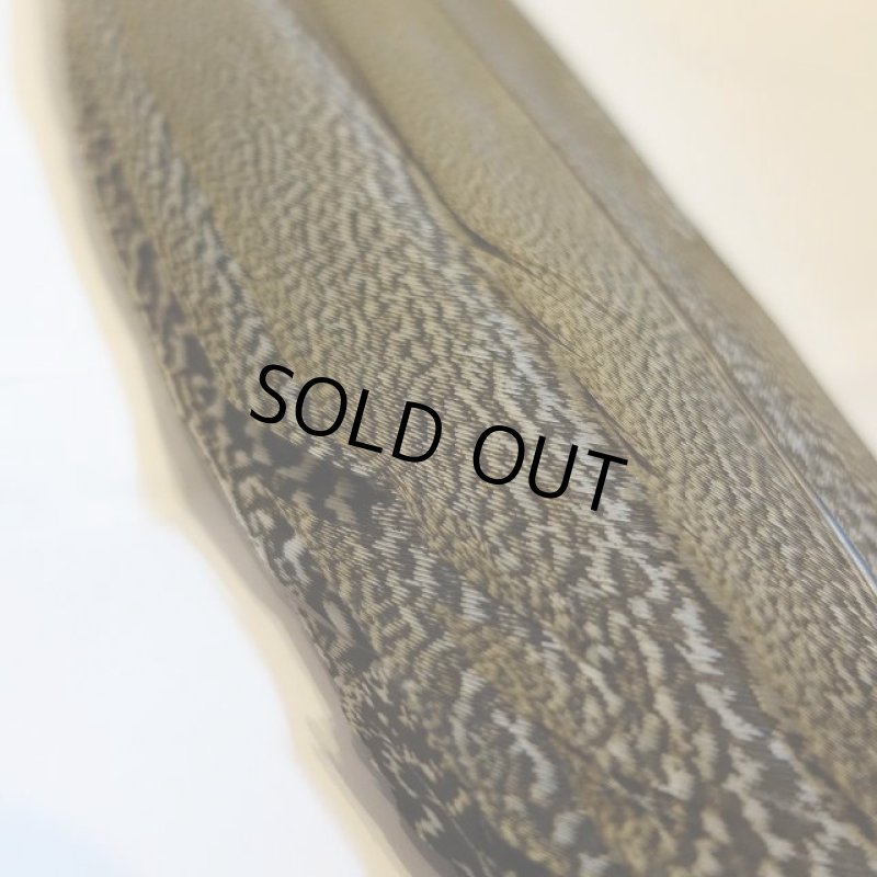 画像2: 【CANAL】 Speckled Pheasant コンプリートテール S (No.2) (2)