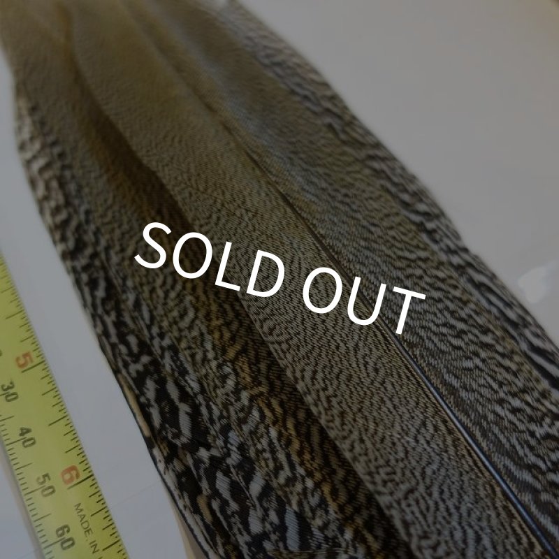 画像2: 【CANAL】 Speckled Pheasant コンプリートテール S (No.3) (2)