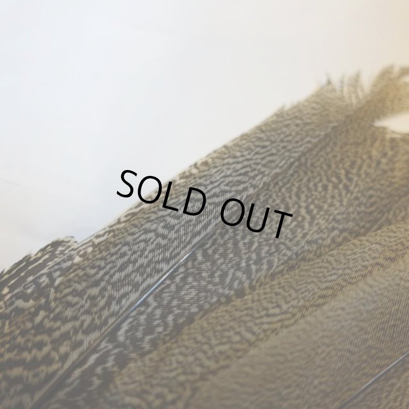 画像4: 【CANAL】 Speckled Pheasant コンプリートテール S (No.2) (4)