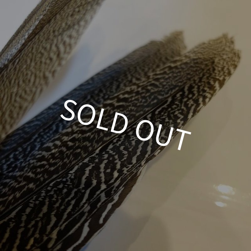 画像3: 【CANAL】 Speckled Pheasant コンプリートテール S (No.1) (3)